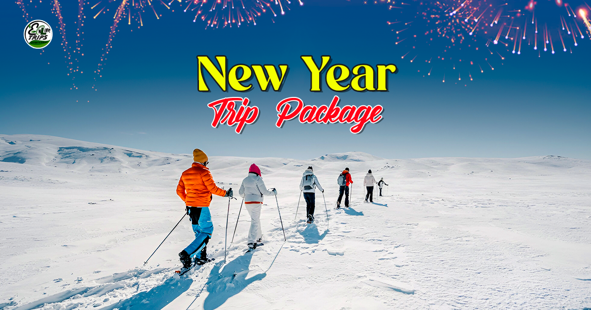 Best places to go for new years